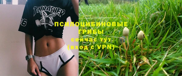 ПСИЛОЦИБИНОВЫЕ ГРИБЫ Алзамай
