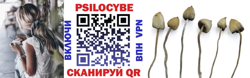 Галлюциногенные грибы Cubensis  даркнет какой сайт  Кропоткин  где купить   OMG зеркало 