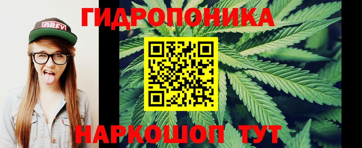 Бошки Шишки OG Kush  Вход с VPN  Каннабис OG Kush  МАРИХУАНА планчик  Кропоткин 